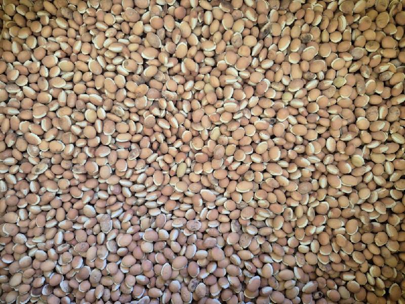 Mochai (Bean)