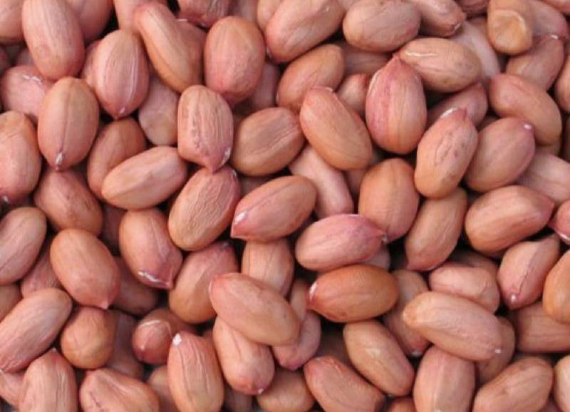 நிலக்கடலை | மதுரா மில்லெட்ஸ்